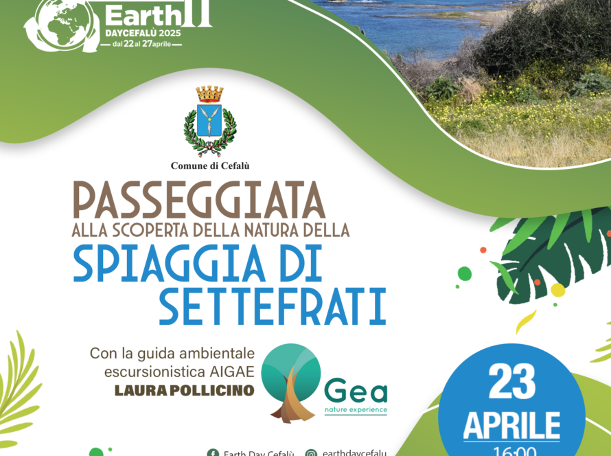 Passeggiata alla scoperta della natura della spiaggia di Settefrati