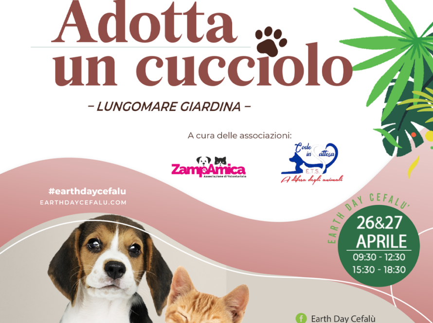 adotta un cucciolo Cefalù